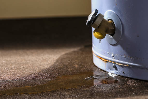 Best Professional water damage repair  in Lonoke, AR