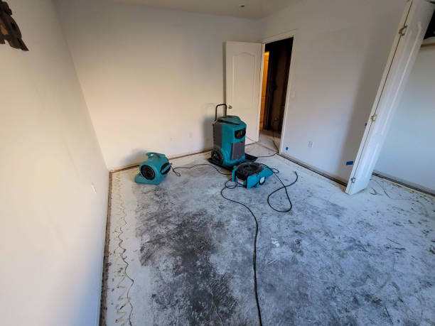 Best Ceiling water damage repair  in Lonoke, AR