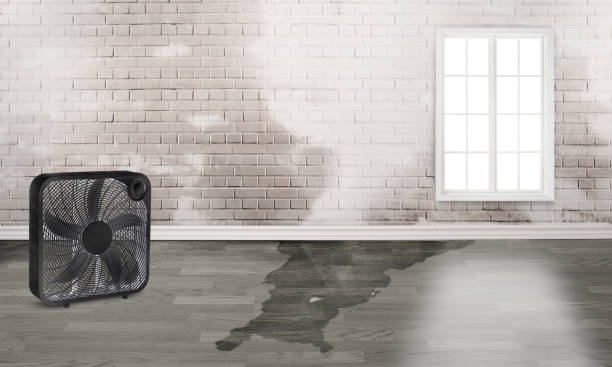 Best 24/7 water damage repair  in Lonoke, AR