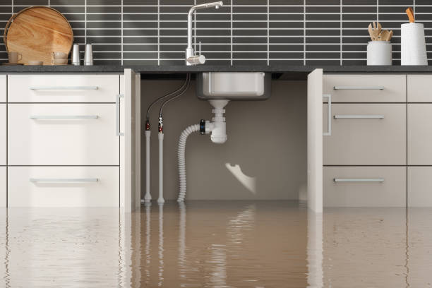 Best Flood restoration services  in Lonoke, AR