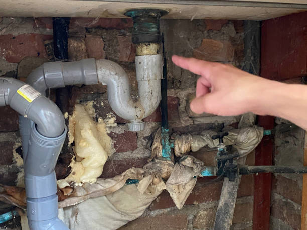 Best Water damage cleanup near me  in Lonoke, AR