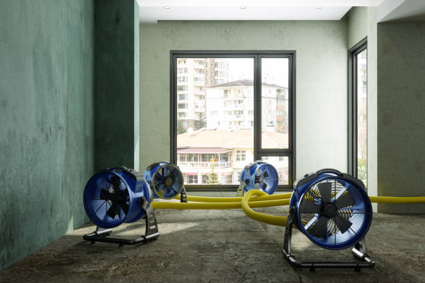 Best Commercial water damage restoration  in Lonoke, AR