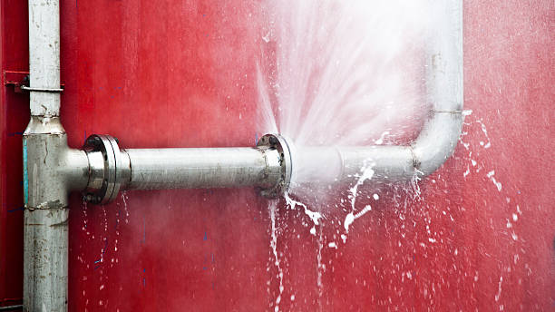 Best Professional water damage repair  in Lonoke, AR