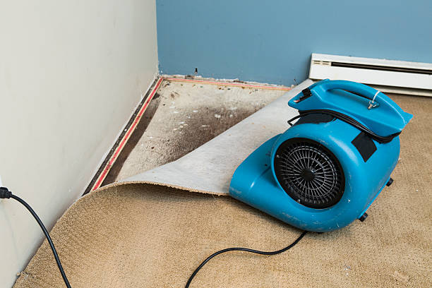 Best Water damage restoration near me  in Lonoke, AR